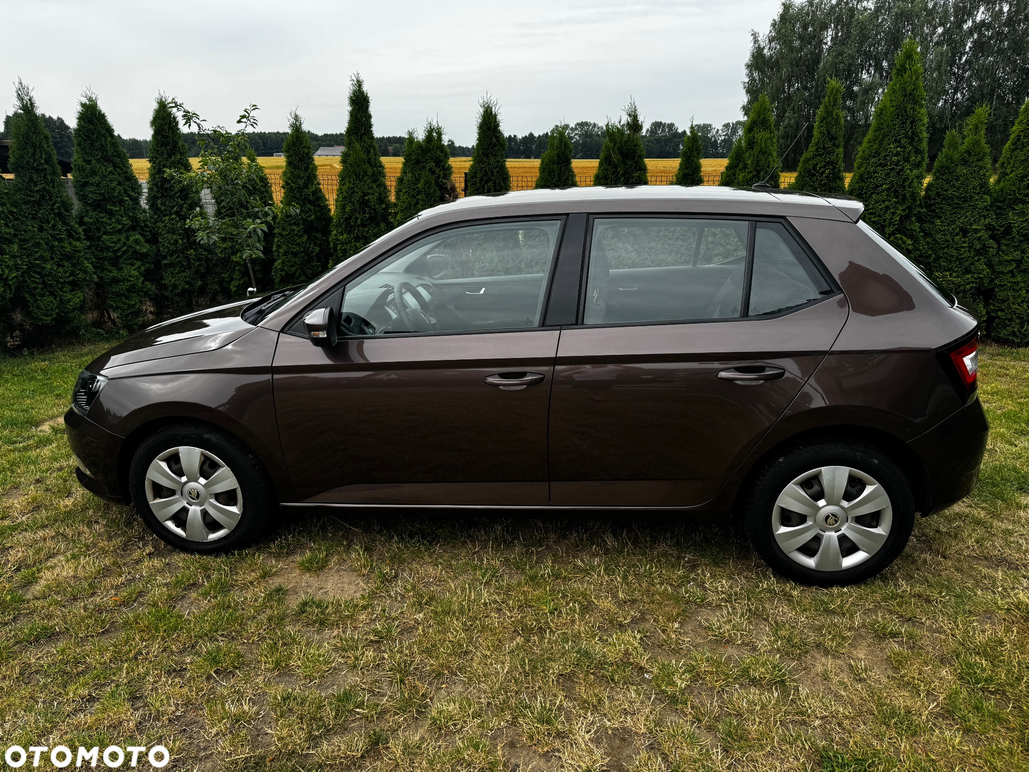 Skoda Fabia 1.2 TSI DSG Ambition - 4