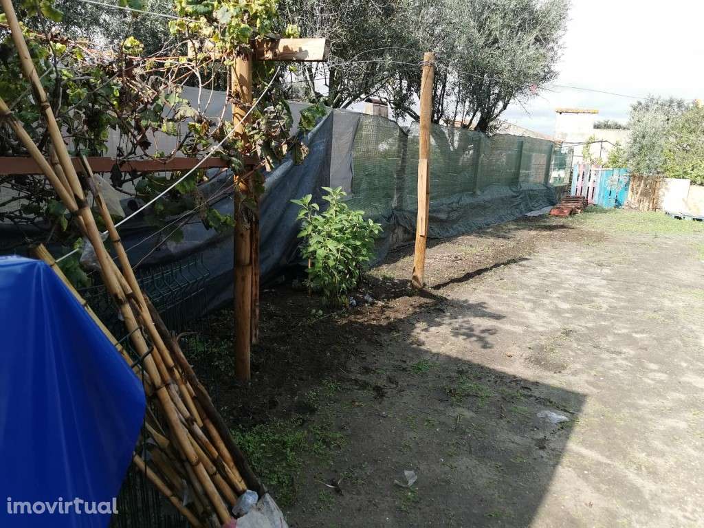 Moradia para recuperação na Chamusca - Grande imagem: 3/7