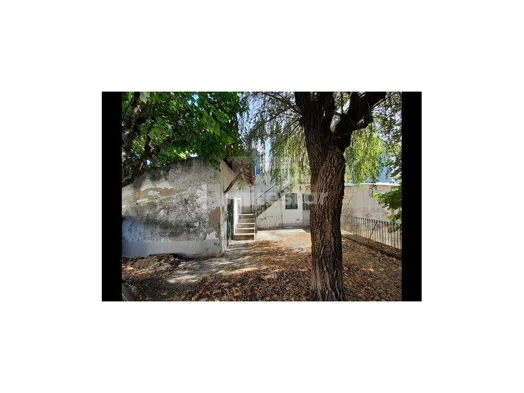 Moradia em Canas de Senhorim, Nelas - Grande imagem: 5/17