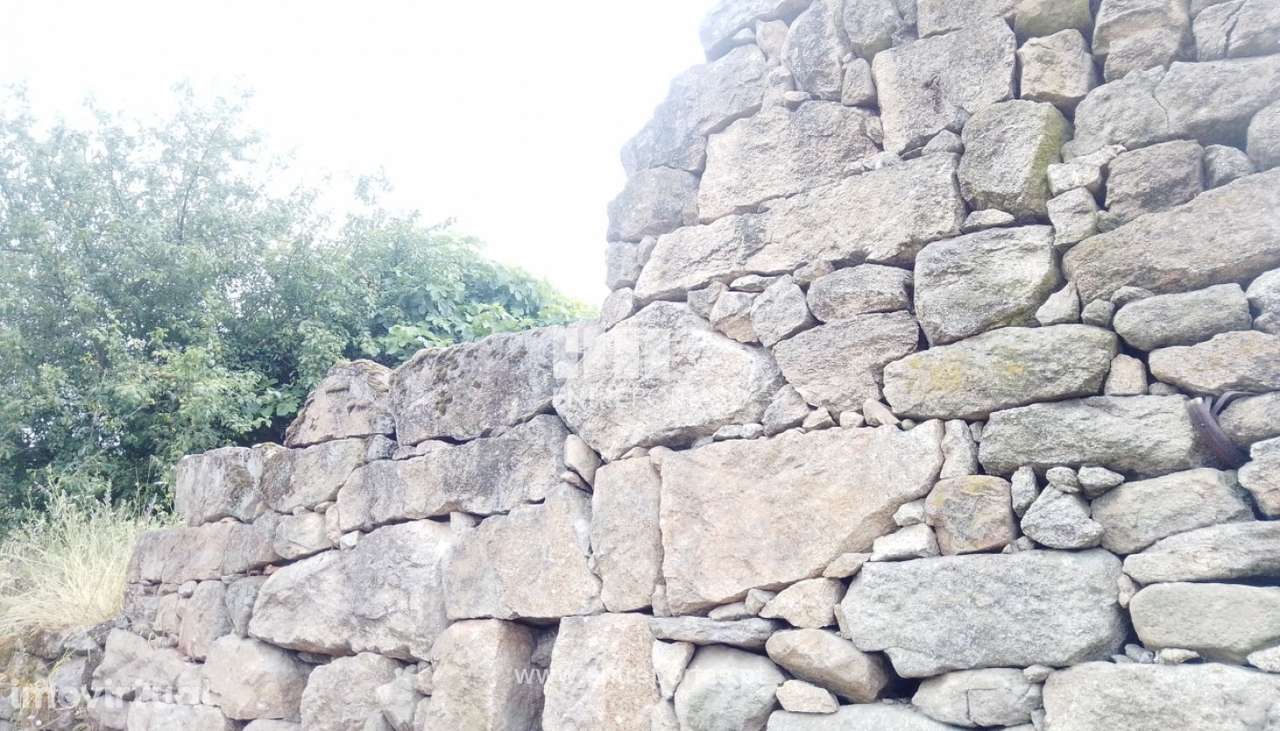 Venda Terreno Tarouquela, Cinfães - Grande imagem: 5/30