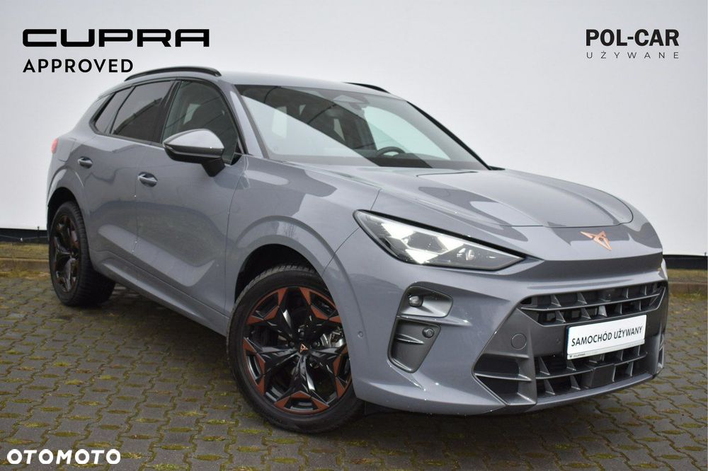 Cupra Terramar - 10