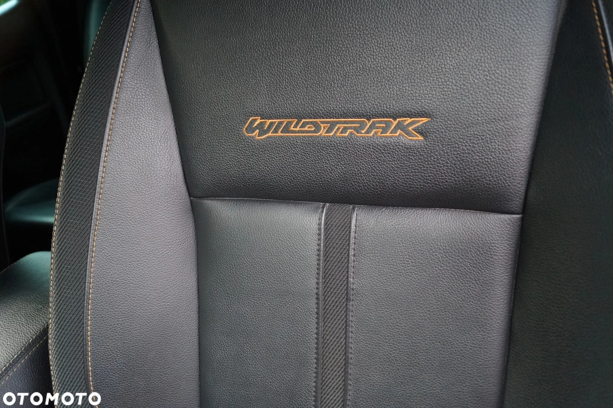 Ford Ranger 2.0 EcoBlue 4x4 DC Wildtrak - 23