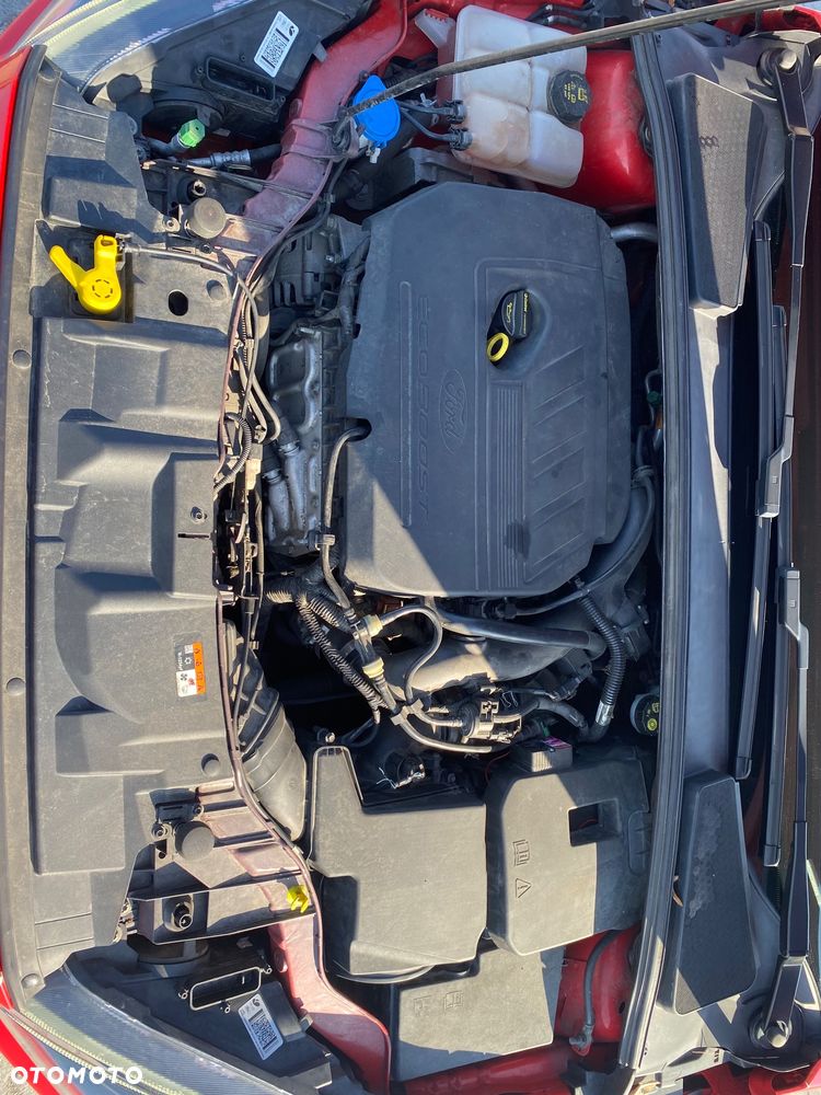 Ford Focus 1.5 EcoBoost ST-Line Red ASS - 15