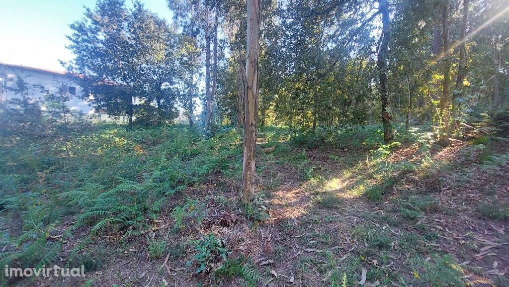 Terreno - Fiscal - Grande imagem: 4/9