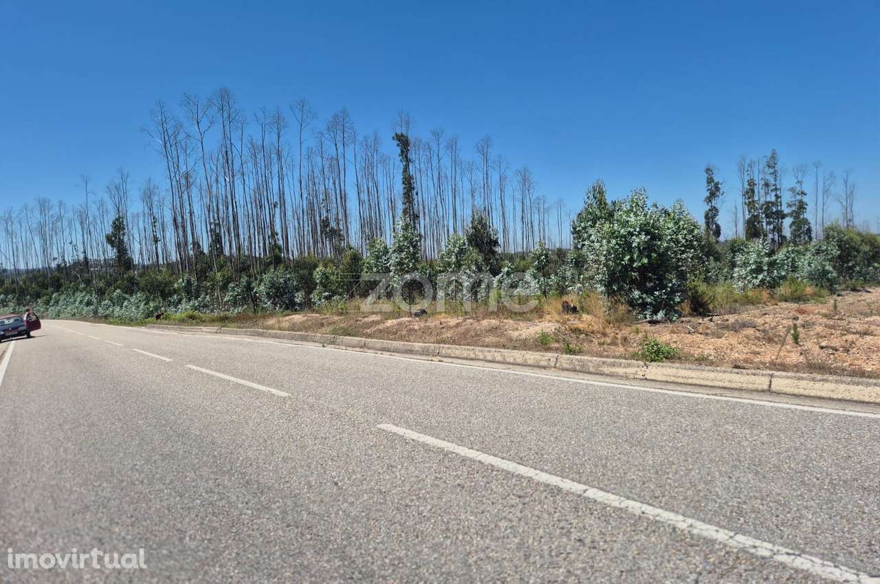 Terreno Rústico na Caranguejeira - Grande imagem: 4/22
