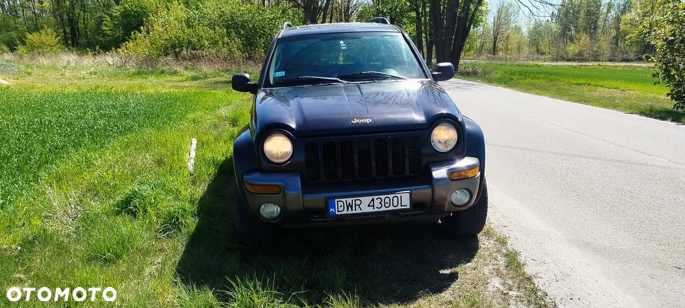 of the car
