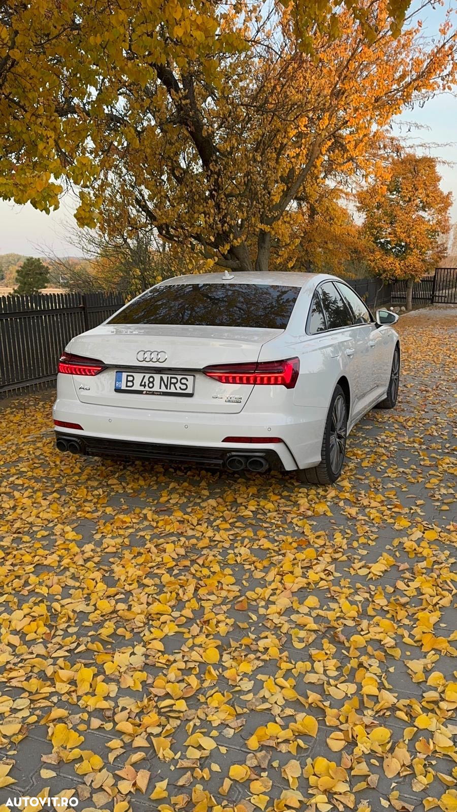Audi A6 3.0 55 TFSI quattro S tronic Sport - 5