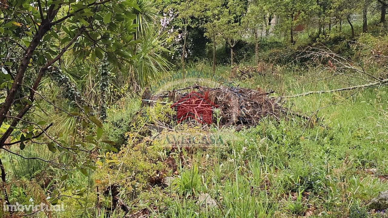 TERRENO PARA MORADIAS JUNTO AO RIO VOUGA - Grande imagem: 4/5