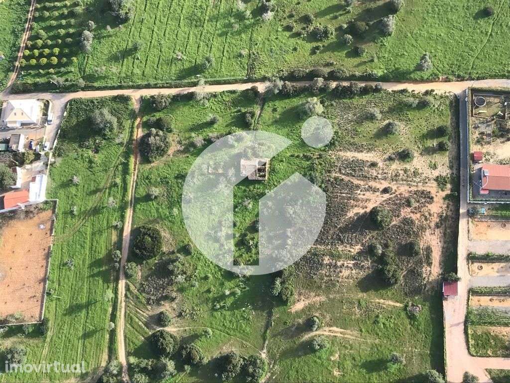 Terreno com Ruína – Olhão - Brancanes - Grande imagem: 3/16