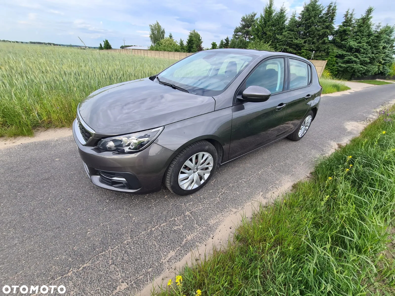 Peugeot 308 1.6 BlueHDi Business Line S&S - 12