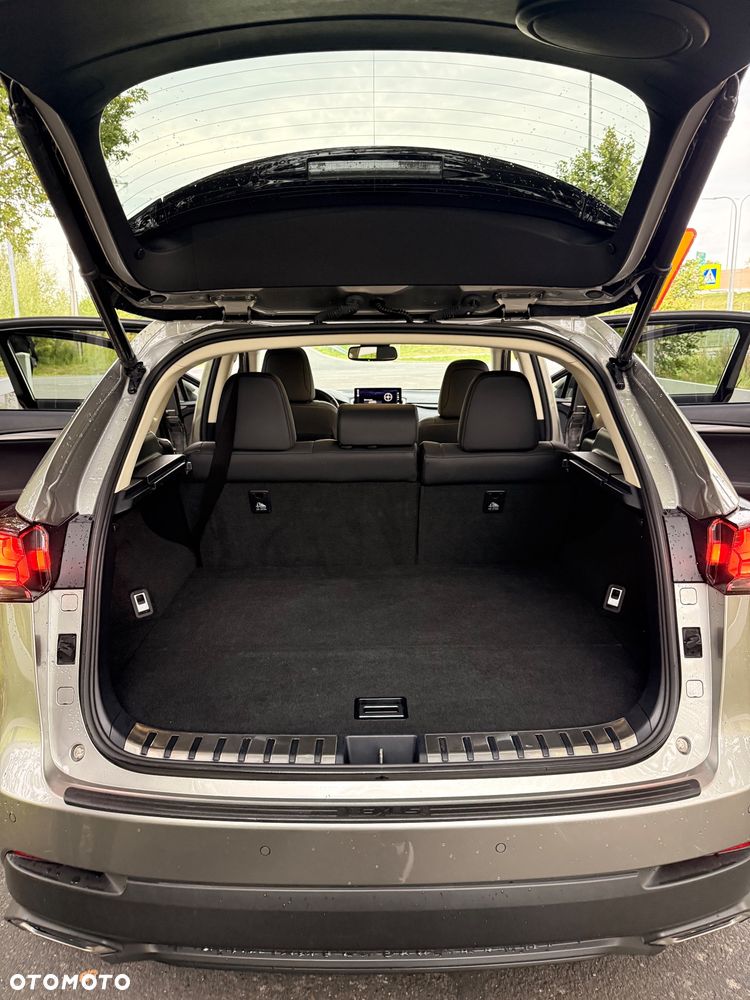 Lexus NX 300 Omotenashi AWD - 15