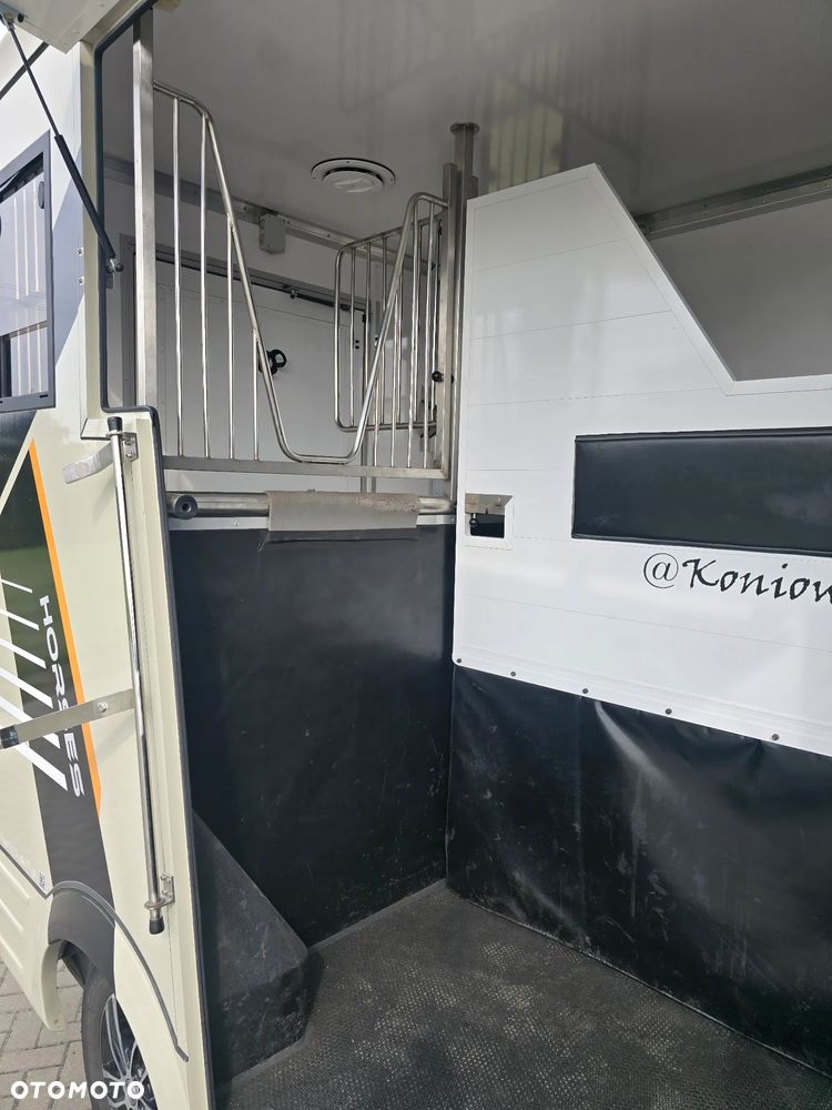 Opel Movano-Koniowóz - 21