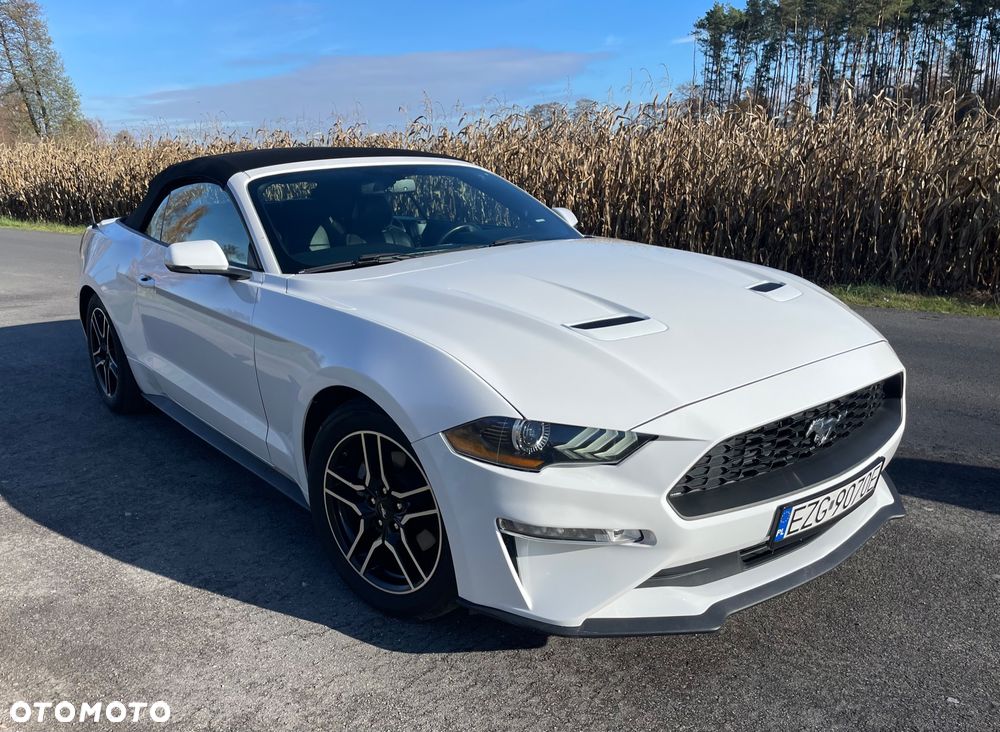 Ford Mustang Cabrio 2.3 Eco Boost - 5