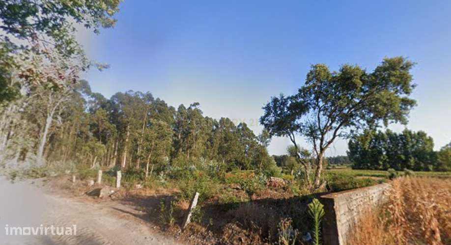 Terreno Agrícola com 4.600m² e excelentes acessos, por apenas 25.000€ - Grande imagem: 2/3
