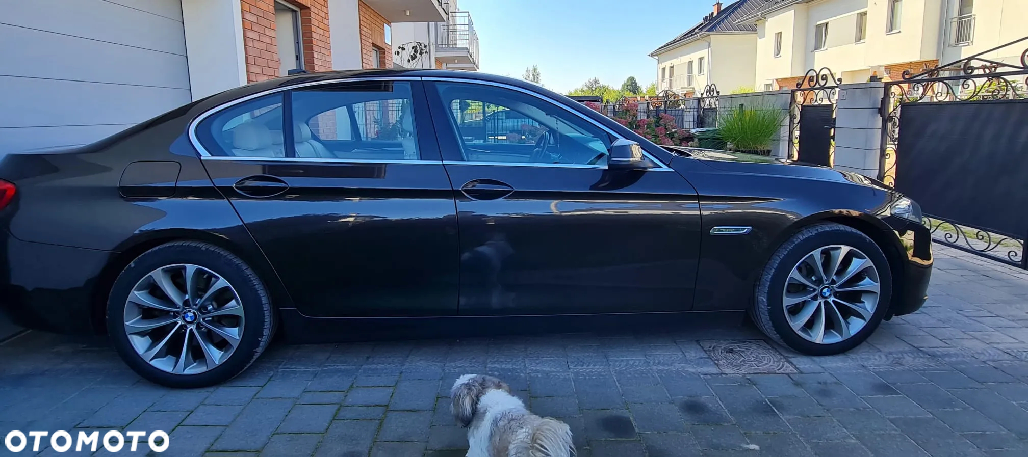 BMW Seria 5 535d xDrive - 4