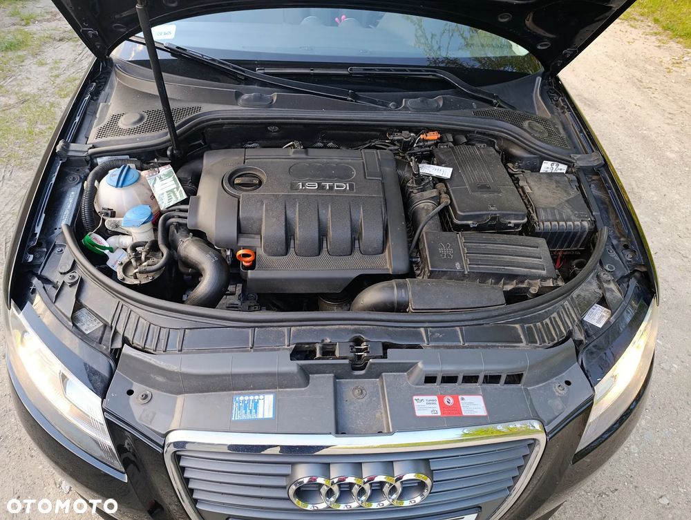 Audi A3 3-drzwiowe - 11