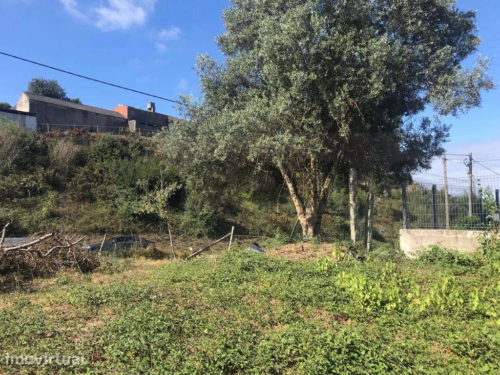 Terreno para construção em altura - Angeja - centro - Grande imagem: 4/7