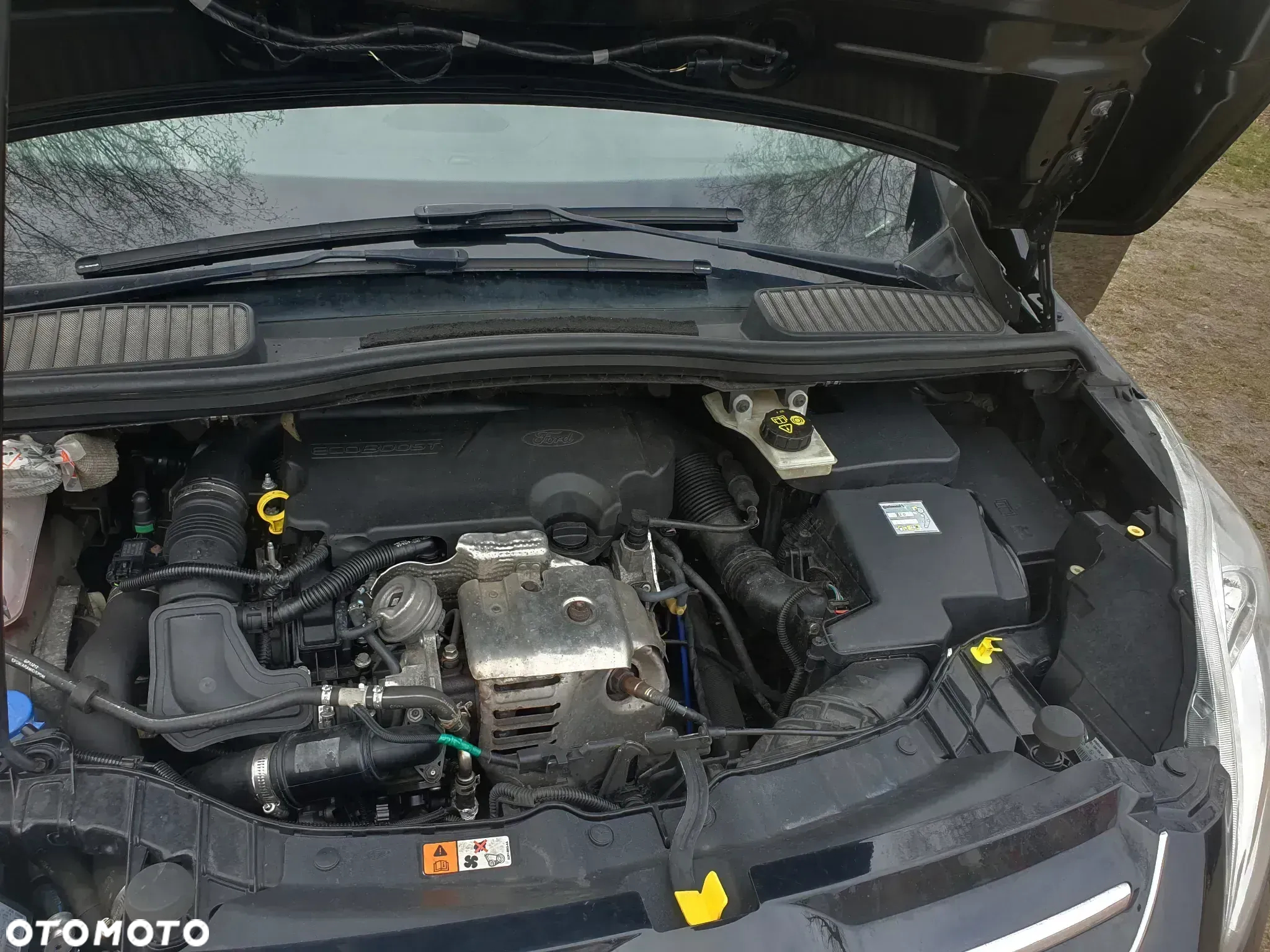 Ford C-MAX 1.0 EcoBoost Start-Stopp-System Titanium - 18