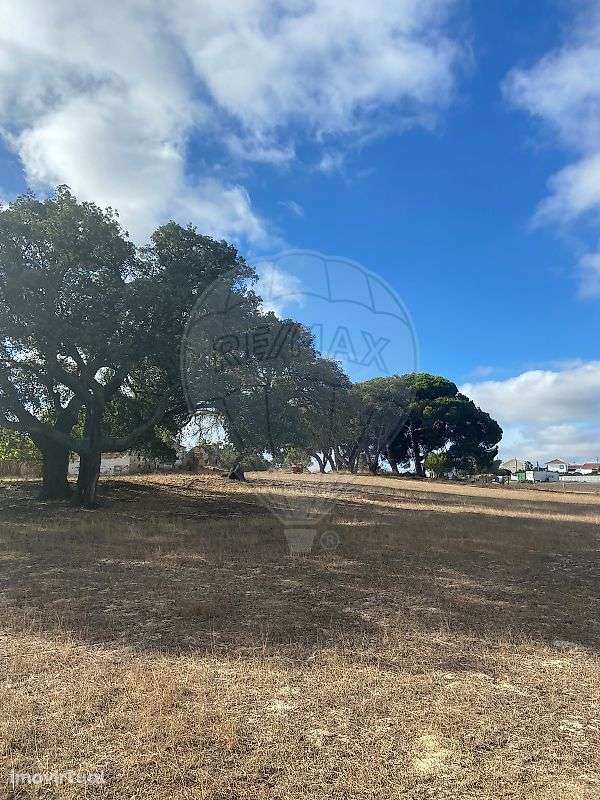 Quinta T0 para arrendamento - Grande imagem: 2/24