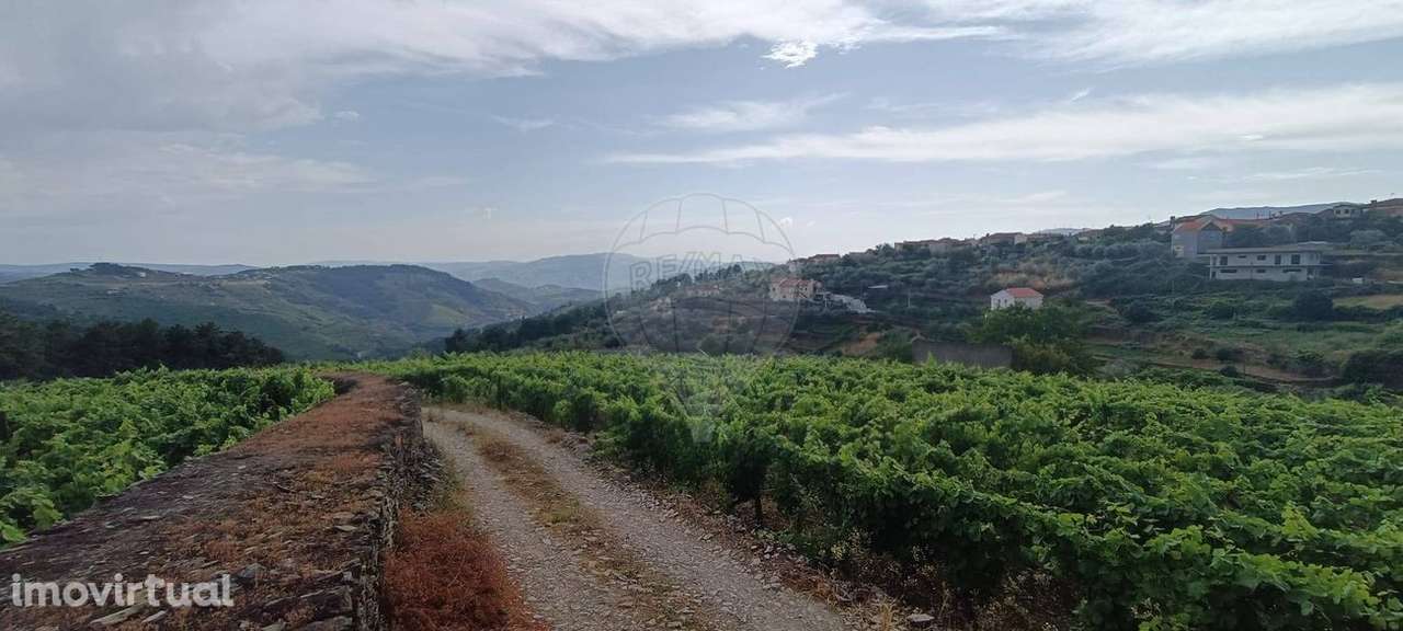 Terreno  para venda - Grande imagem: 4/7