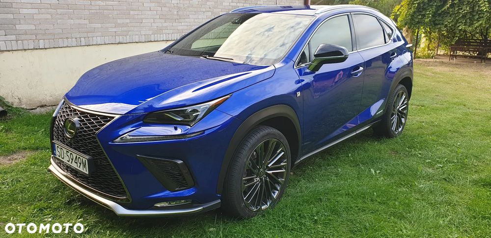Lexus NX 300h F Sport AWD - 35