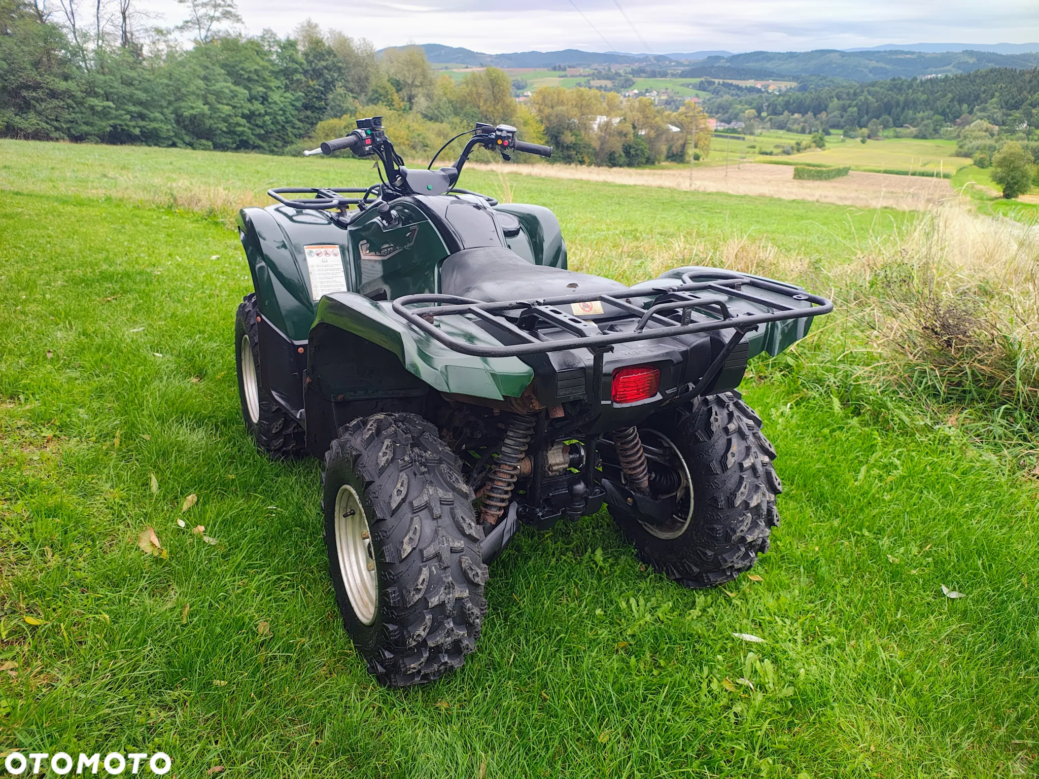 Yamaha Grizzly - 3
