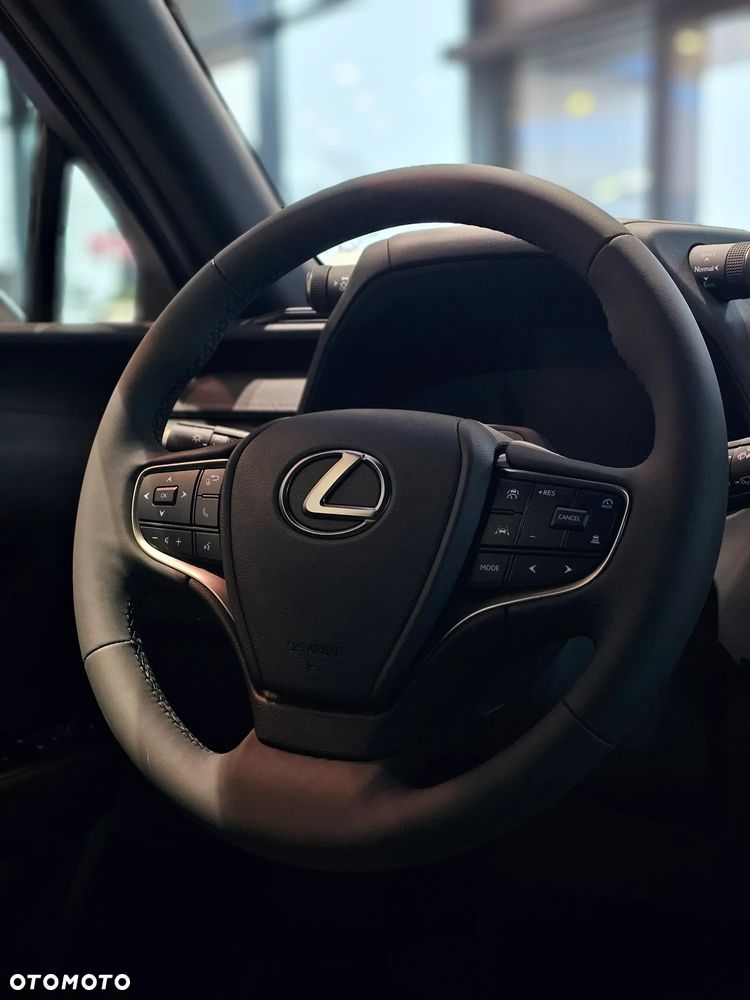 Lexus UX 300h F Sport Design - 8