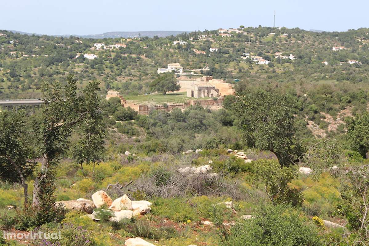 Quinta  para venda - Grande imagem: 4/12