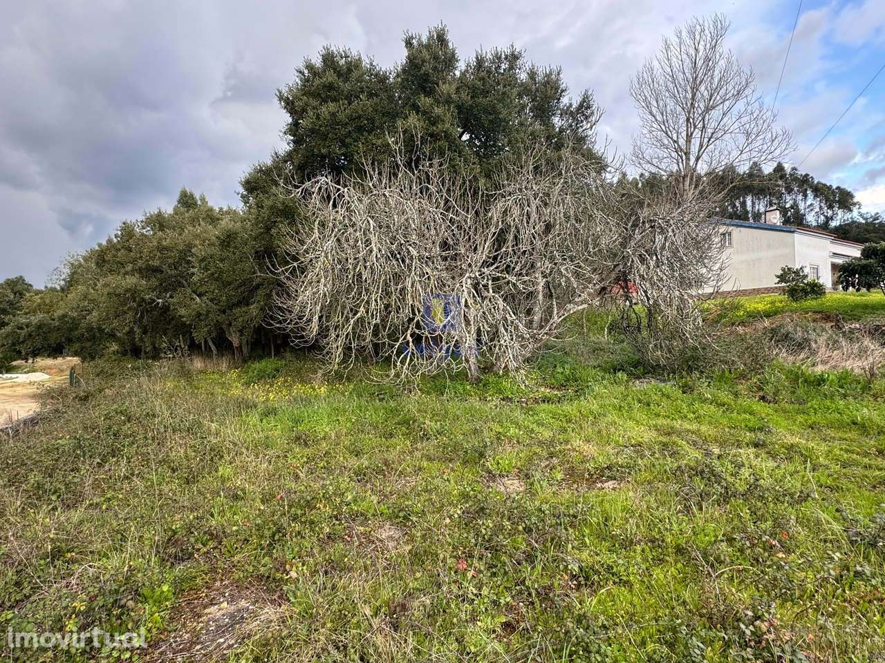 Terreno Hortas, Azinheira - Rio Maior - Grande imagem: 4/11