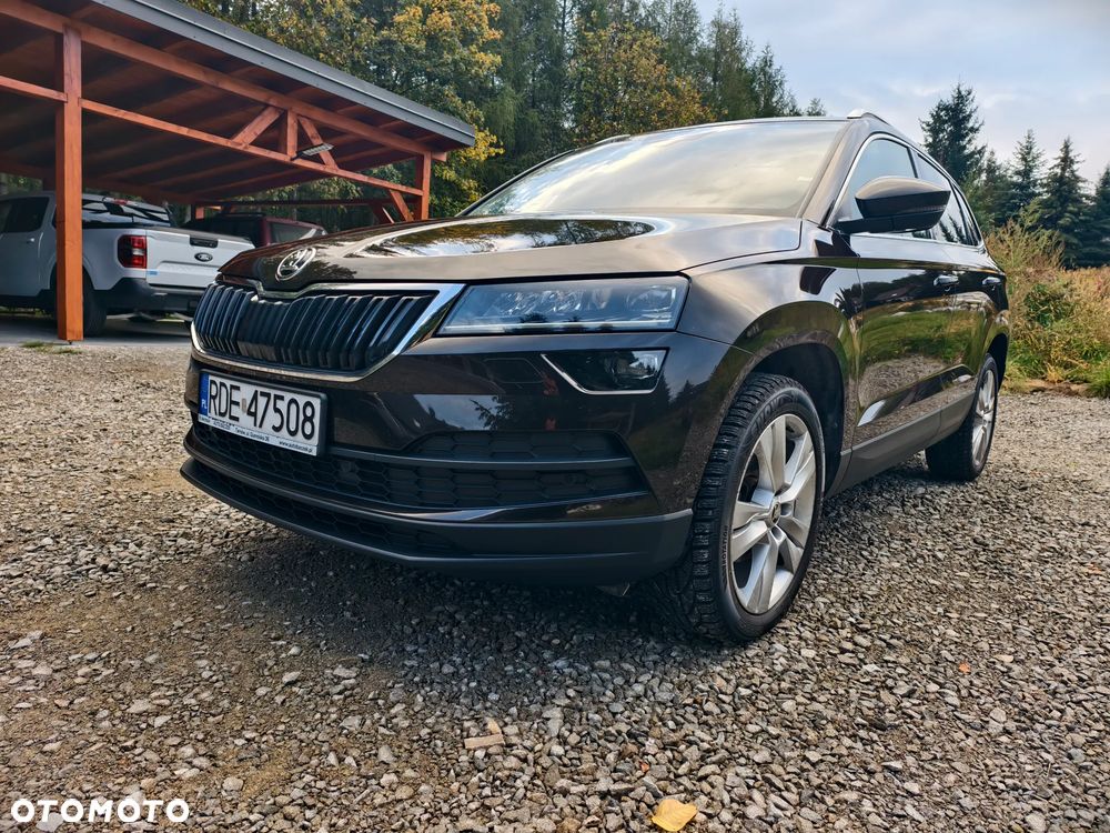 Skoda Karoq 2019 photo 2
