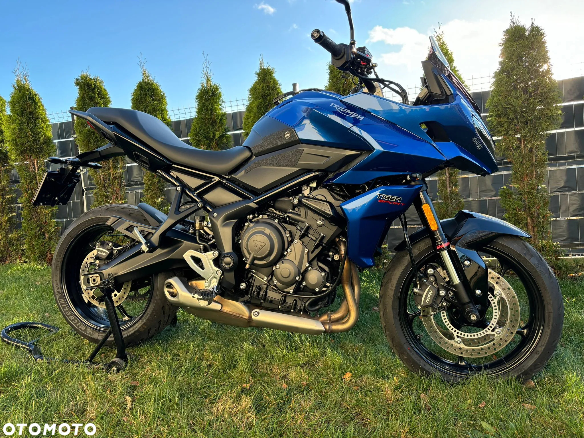 Triumph Tiger - 3