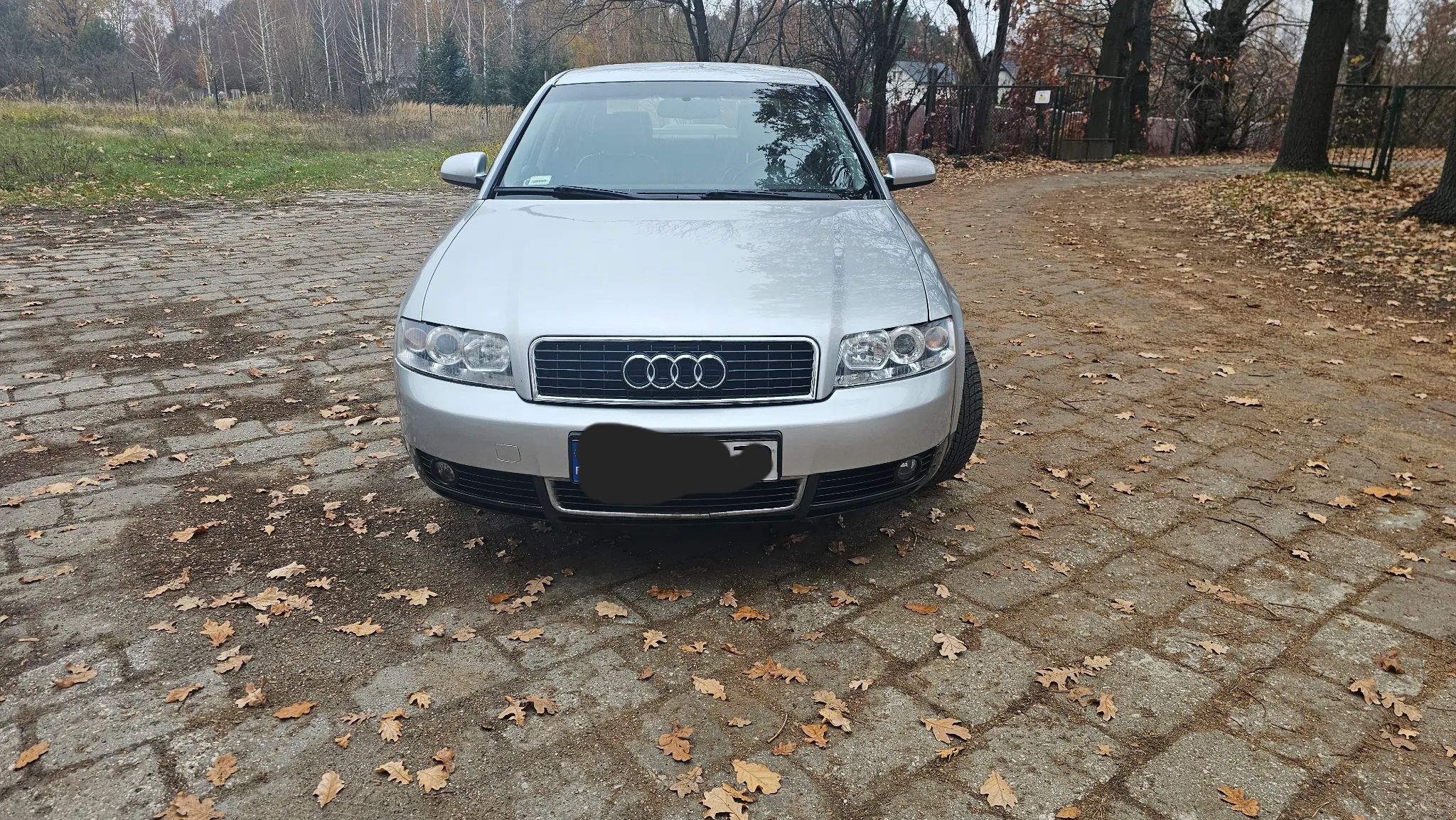 Audi A4 1.8T - 26