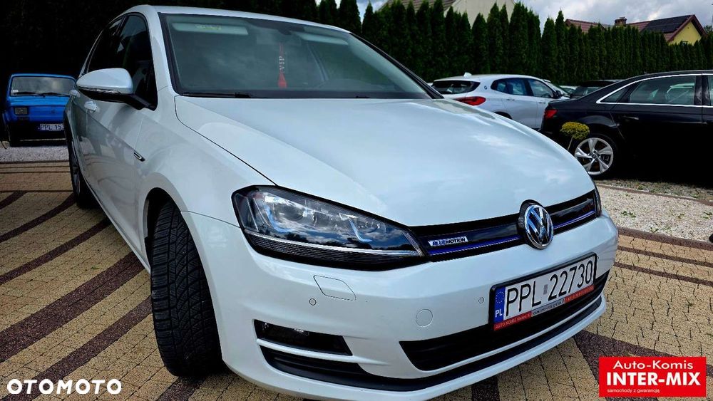 Volkswagen Golf - 2