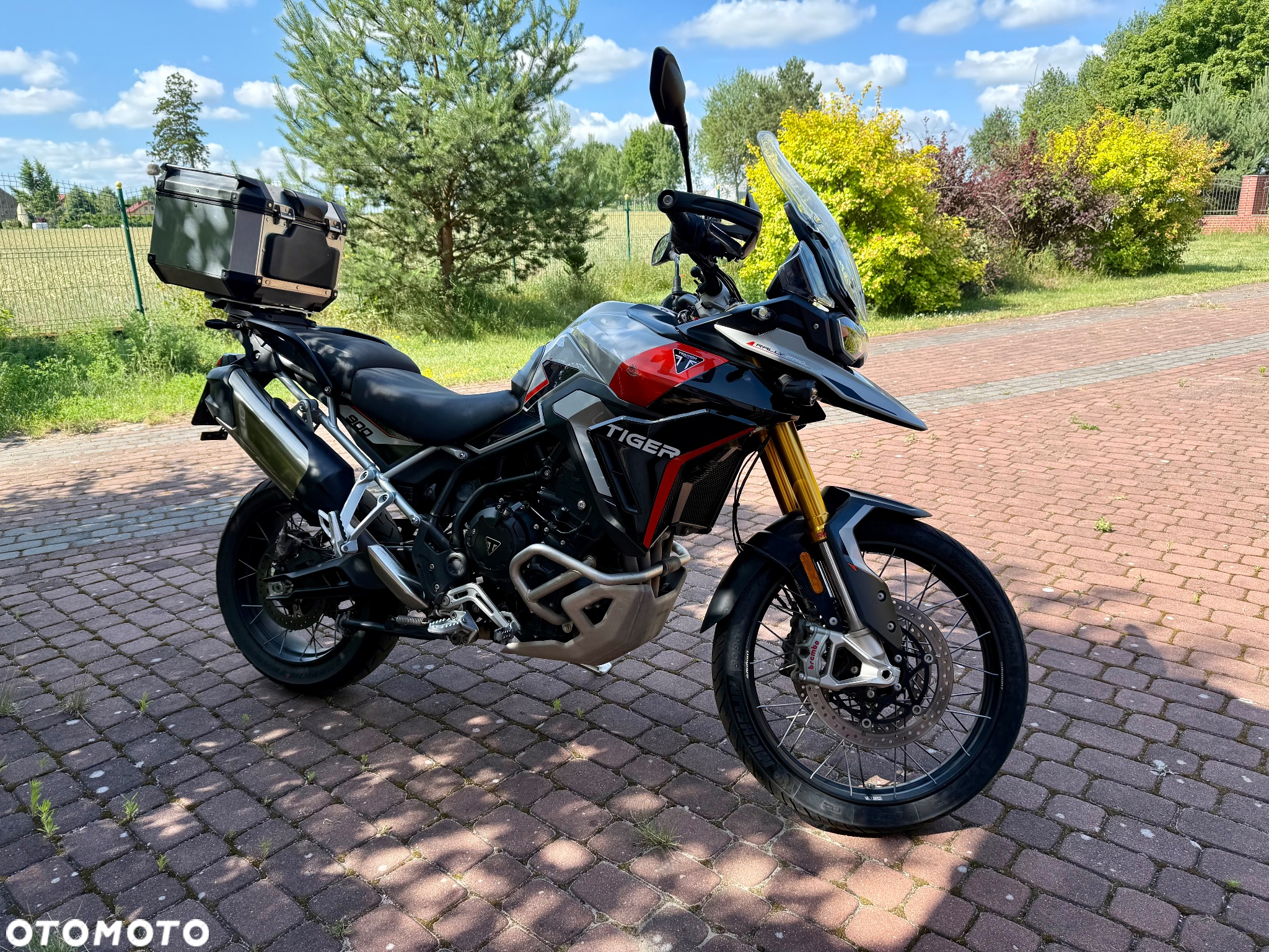 Triumph Tiger