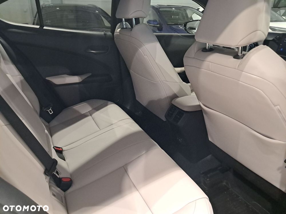 Lexus UX 250h GPF F Sport Design 2WD - 10