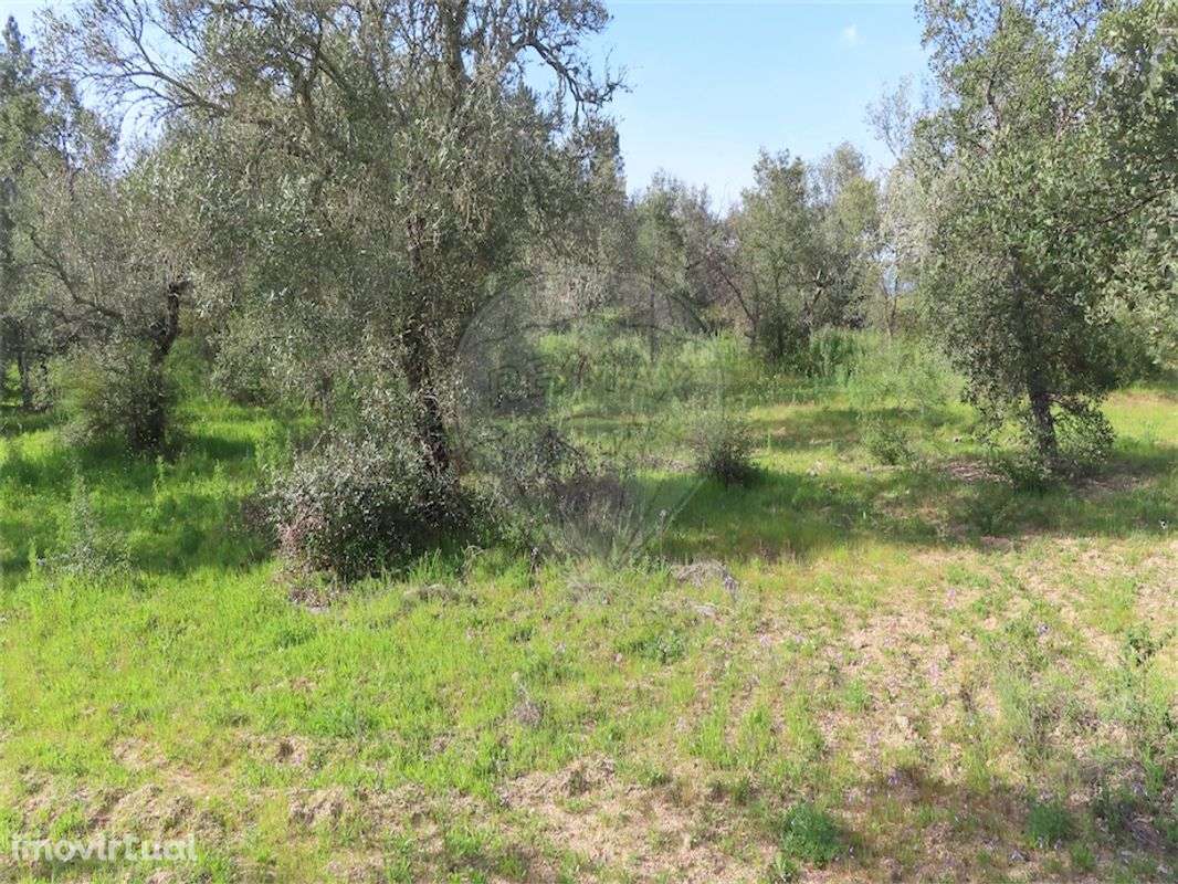 Quinta  para venda - Grande imagem: 5/20