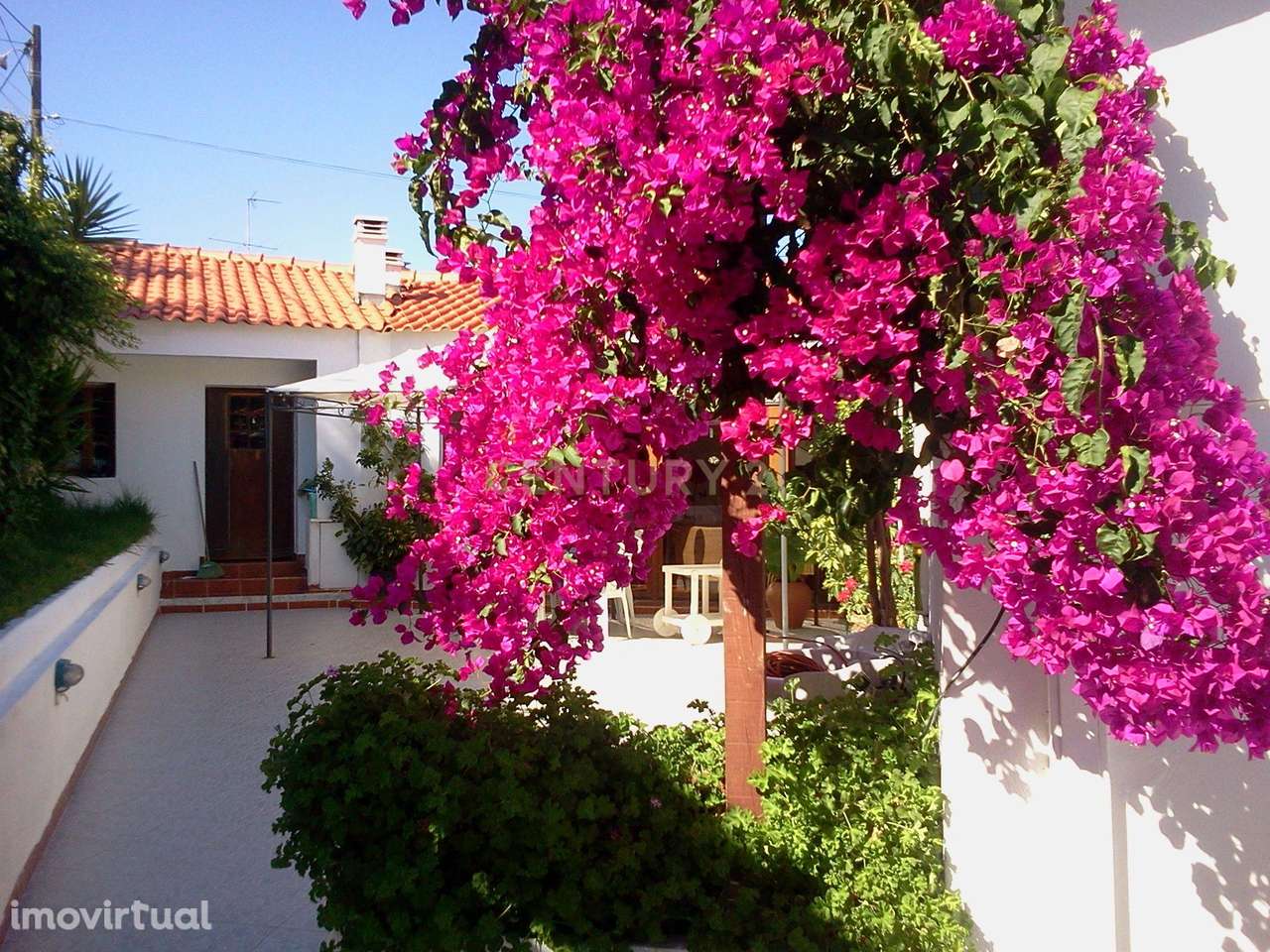 Propriedade na Batalha, Leiria - Oportunidade Única! - Grande imagem: 2/23