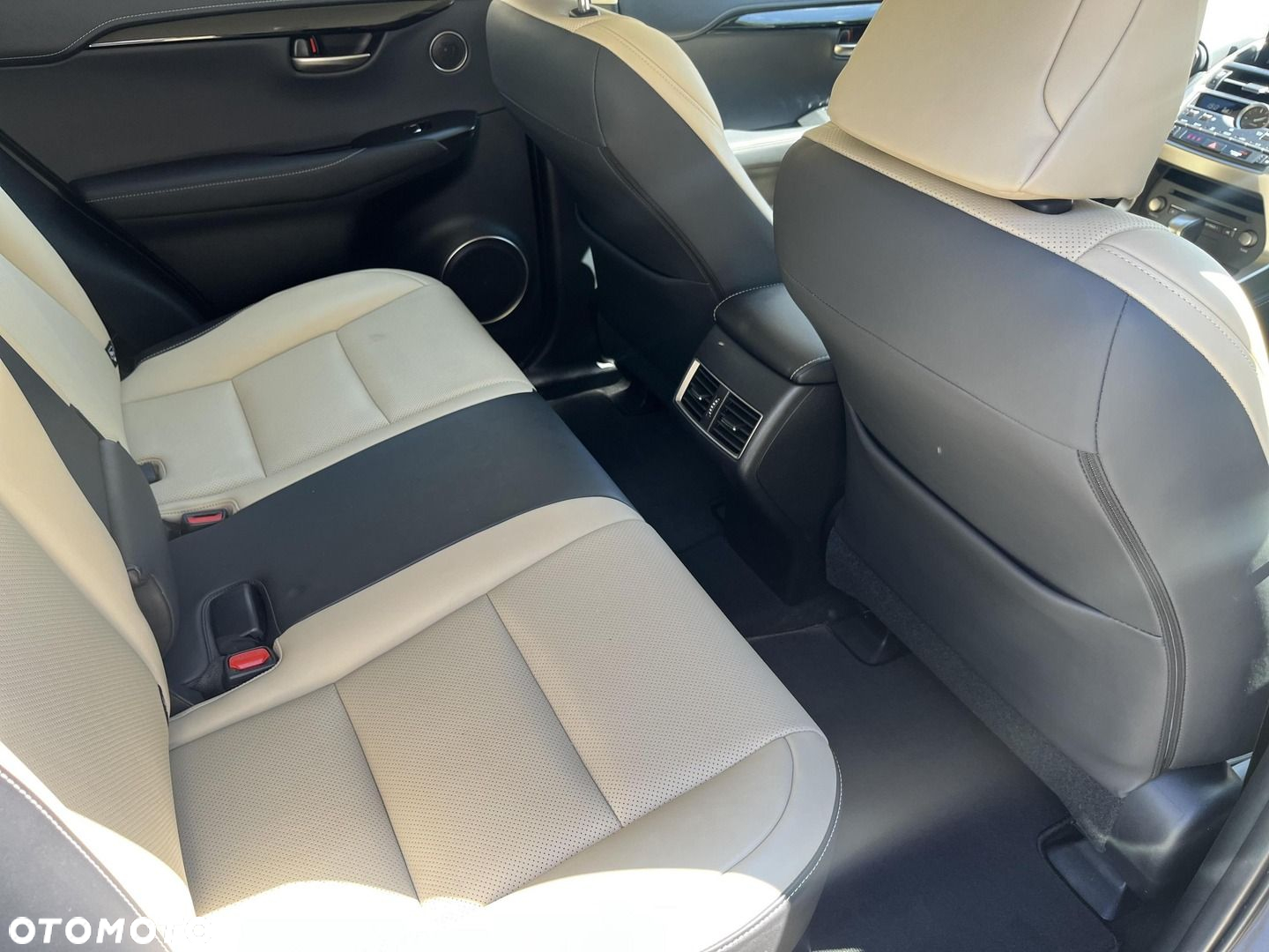 Lexus NX - 10