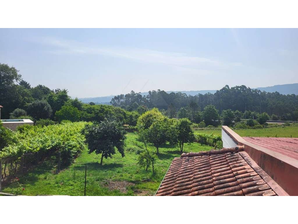 Moradia T6 com Jardim, Adega e Terreno com Potencial de Construção - Grande imagem: 4/33