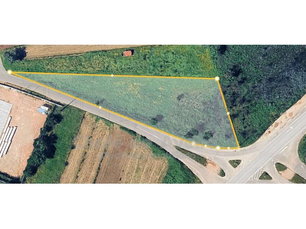 Terreno em Albergaria a Velha - Grande imagem: 3/8