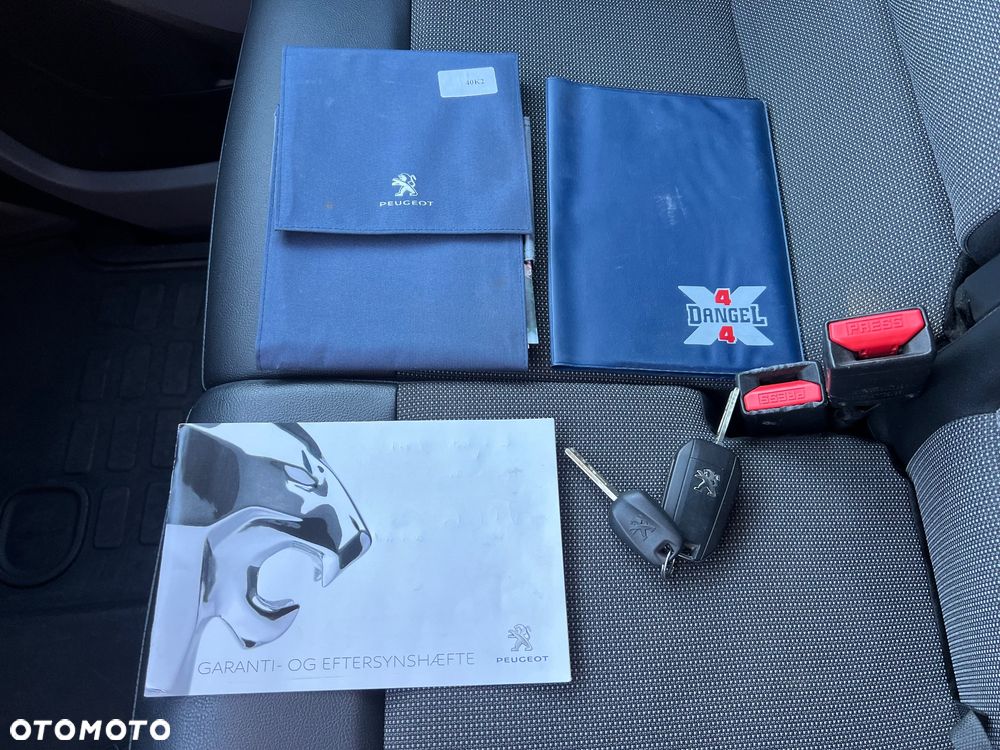 Peugeot Expert Dangel 4x4 - 26