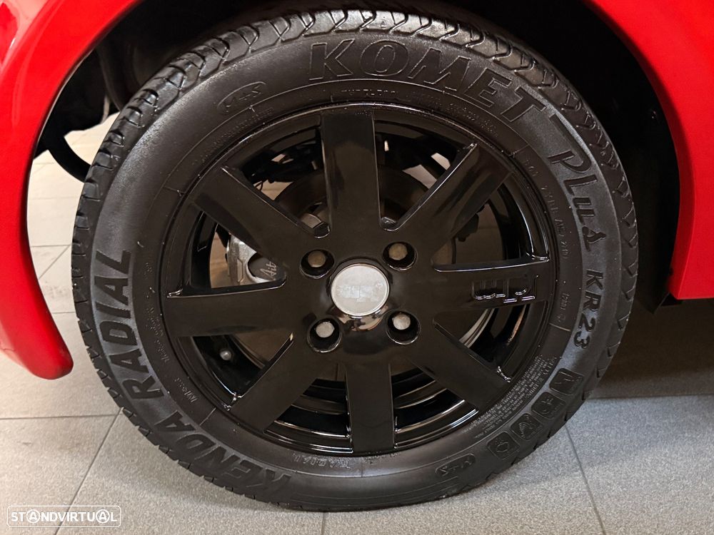 JDM Aloes - 6
