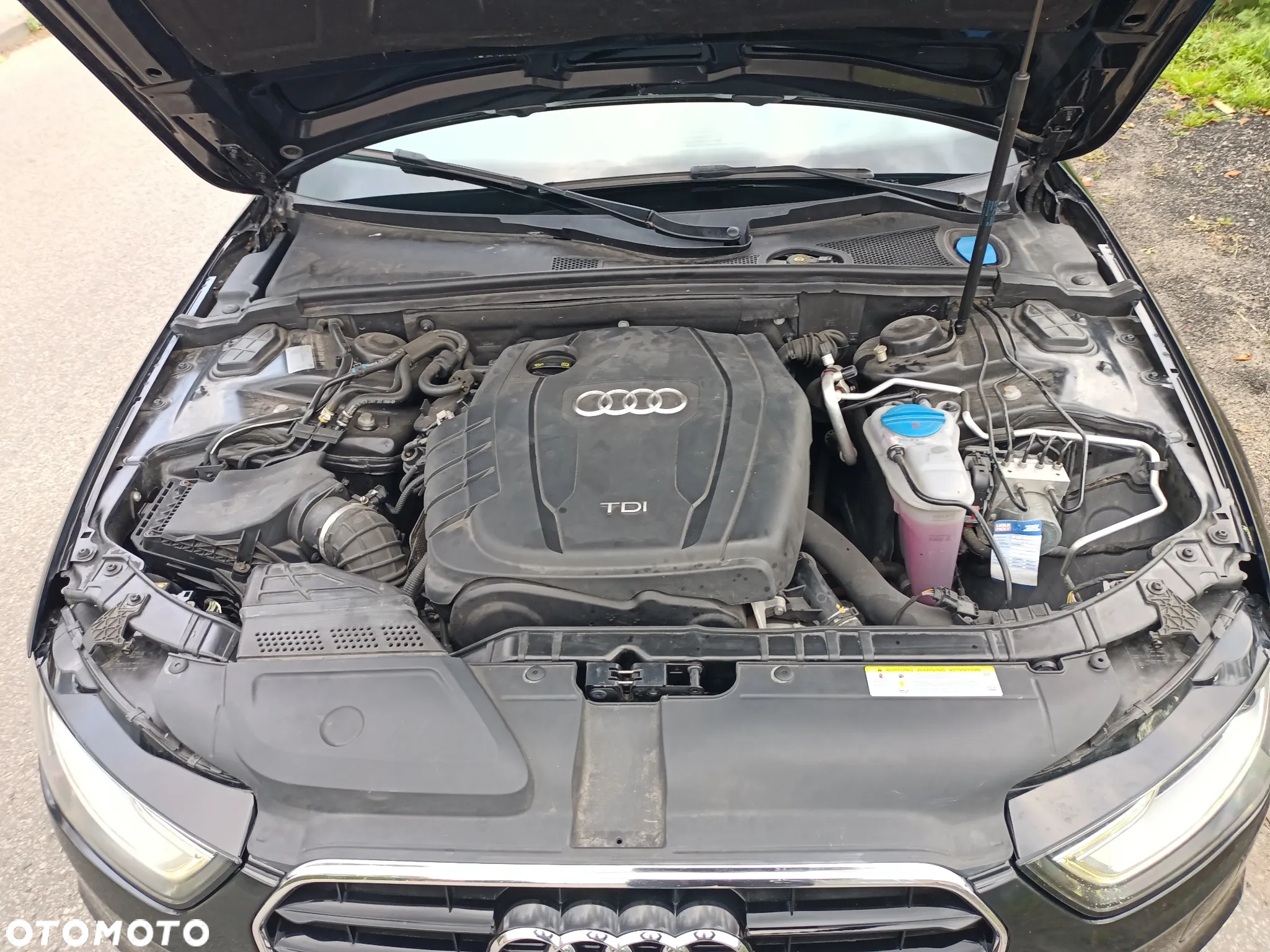 Audi A4 - 24