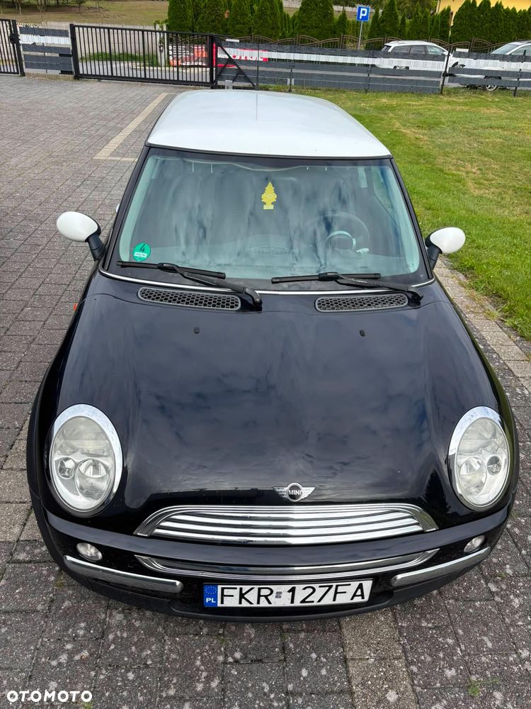 MINI Cooper chili - 7