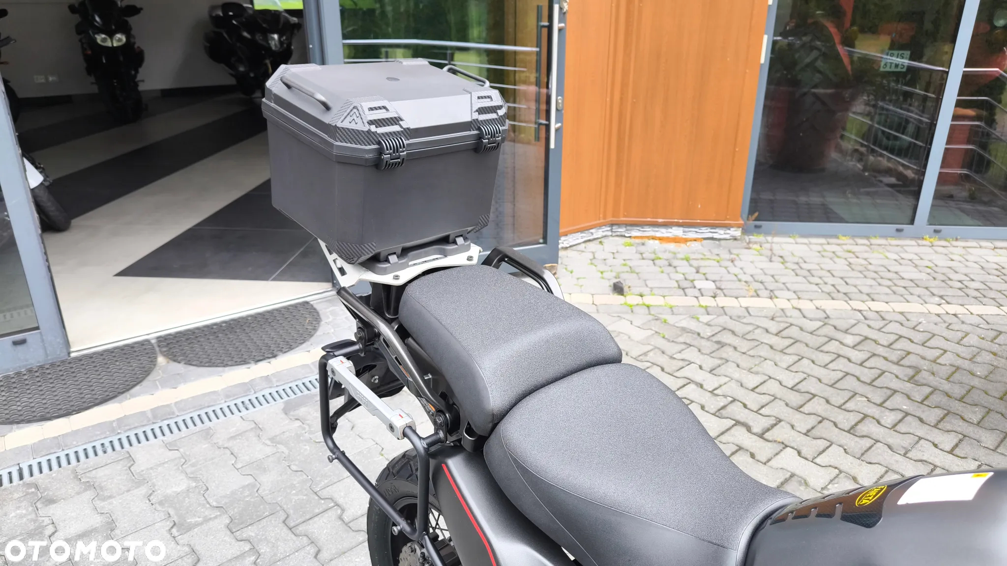 Triumph Tiger - 19