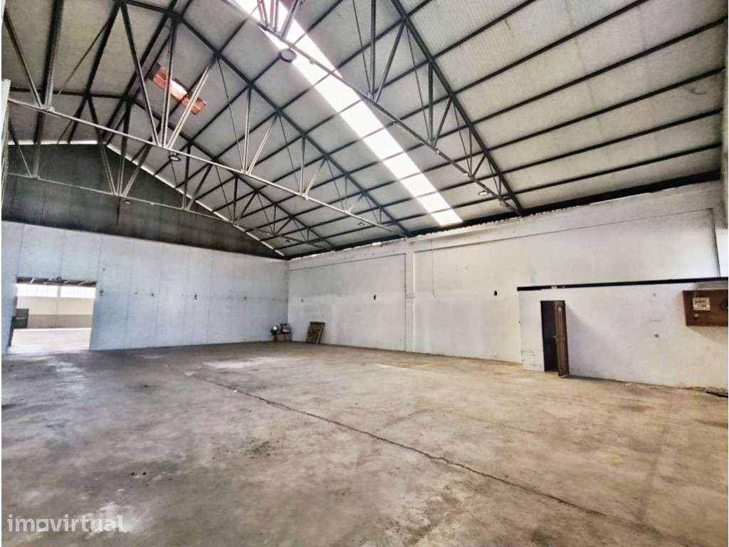 Armazém com showroom e logradouro - Grande imagem: 5/34