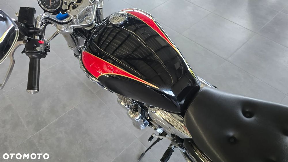 Triumph Thunderbird - 14