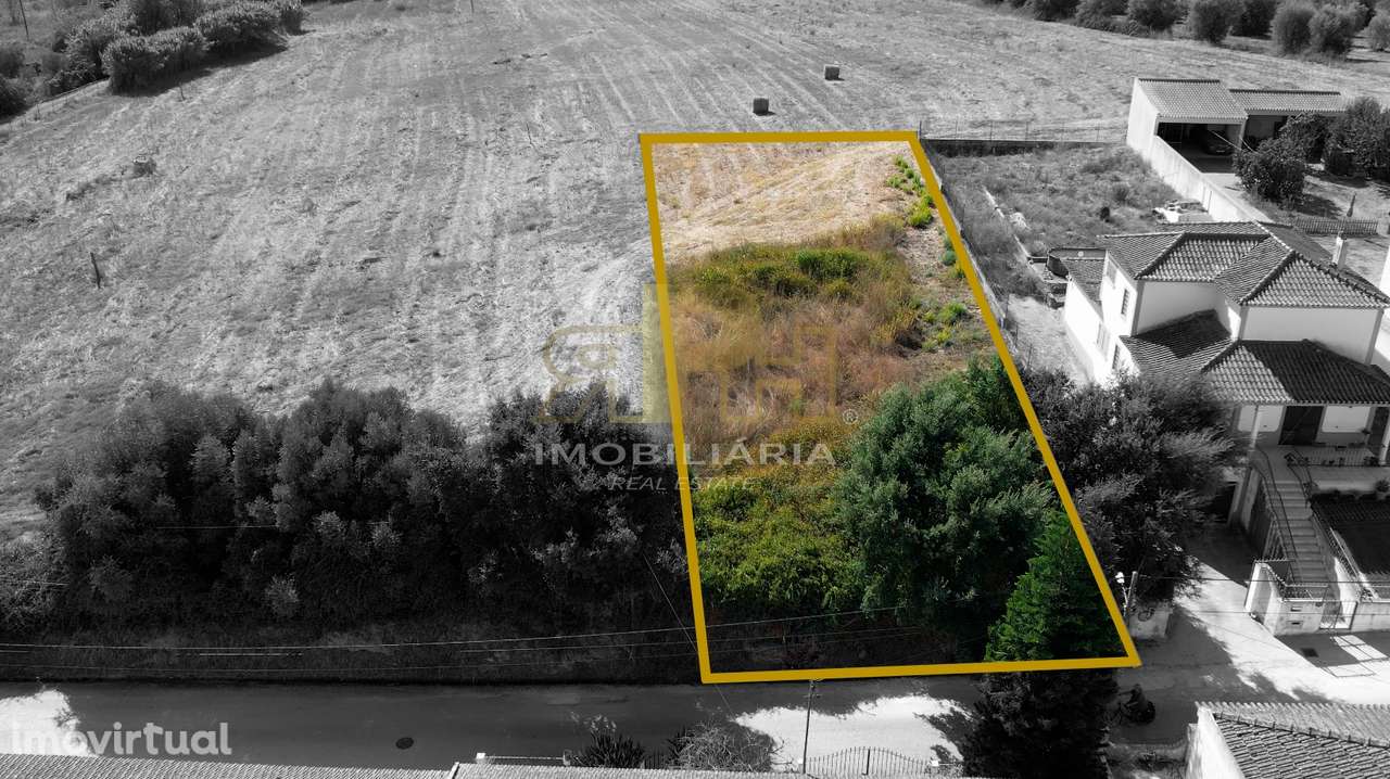 Terreno Para Construção  Venda em São Vicente do Paul e Vale de Figuei - Grande imagem: 2/4