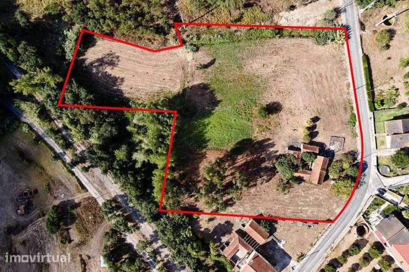 Ruína com terreno de 9900m2 em Liceia - Montemor o Velho