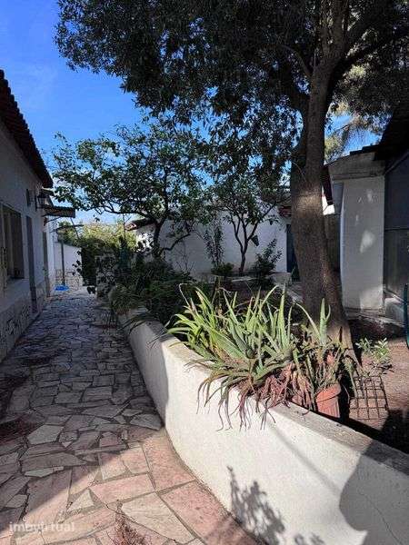 Moradia Térrea T3 com piscina - Grande imagem: 4/12